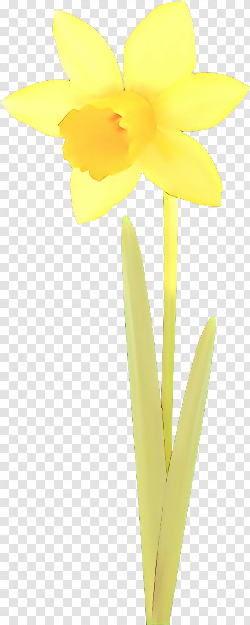 Flowers Background - Petal - Tulip Iris Transparent PNG