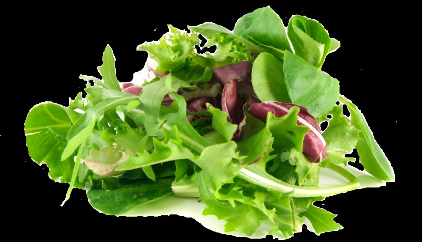 Mesclun Organic Food Spinach Salad Leaf Vegetable - Macaroni Transparent PNG