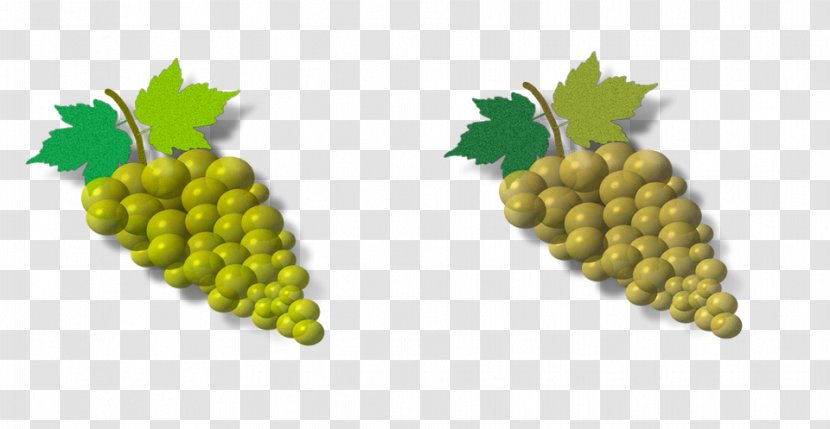 Grapevines Clip Art Food - Grapevine Family - Grape Transparent PNG