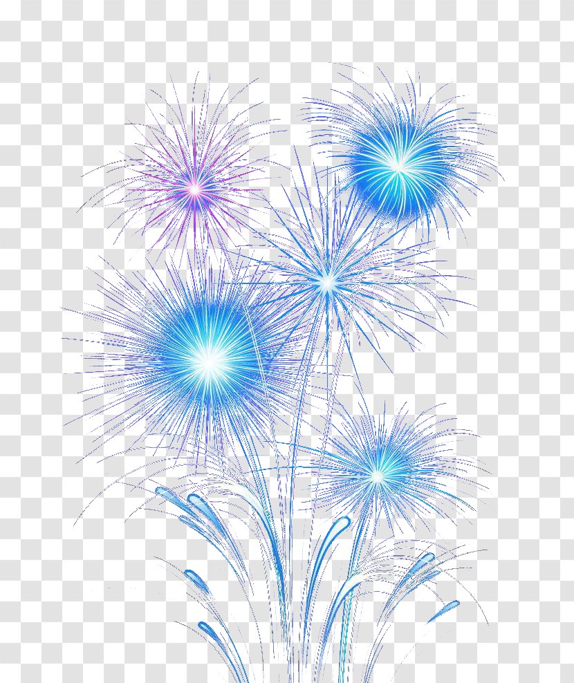 Fireworks Graphic Design - Flower - Beautiful Colorful Transparent PNG