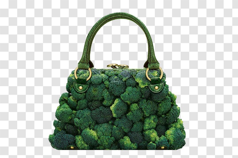 Photographer Handbag Photography Fashion Food - Accessory - Broccoli Package Transparent PNG