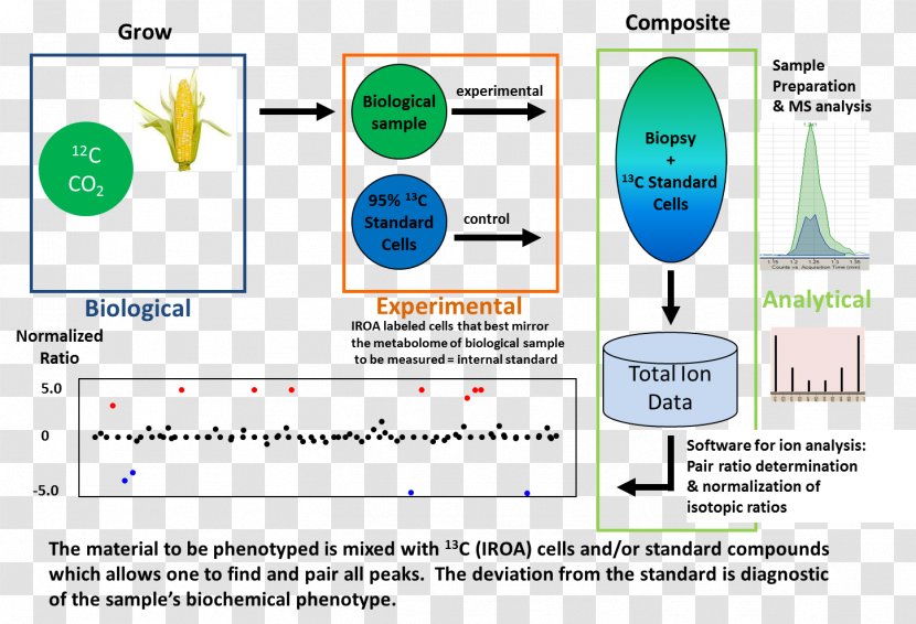 Isotopic Ratio Outlier Analysis Technology Metabolism Science - Diagram Transparent PNG