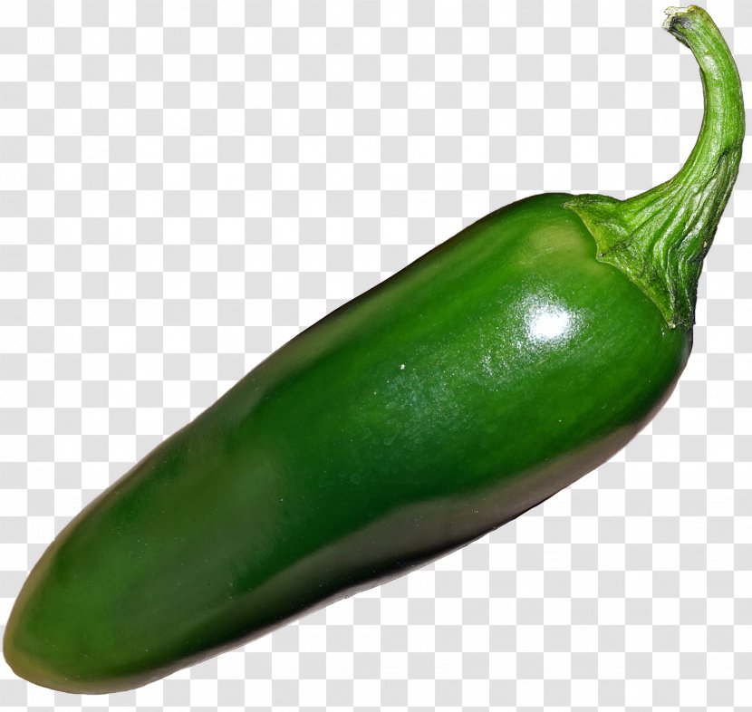 Jalapeño Habanero Serrano Pepper Poblano Bell - Vegetable - Jalapenohd Transparent PNG