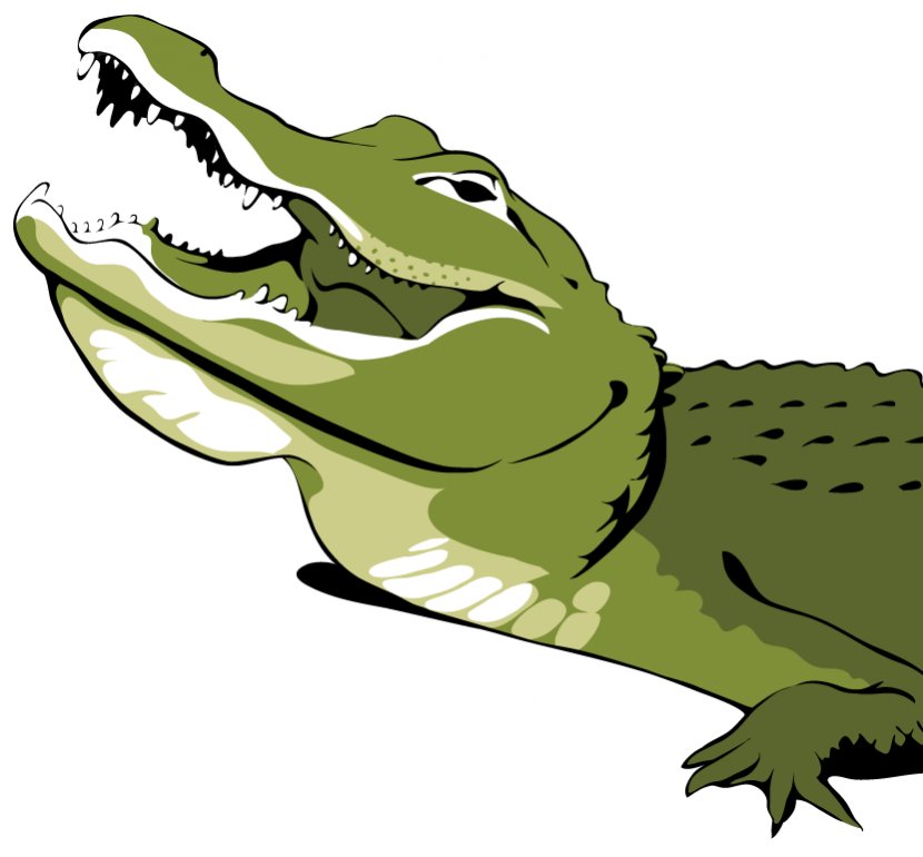 Alligator Crocodiles Clip Art - Amphibian - Illustrations Transparent PNG