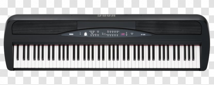 Digital Piano Korg Stage Musical Keyboard - Instrument - Electronic Transparent PNG