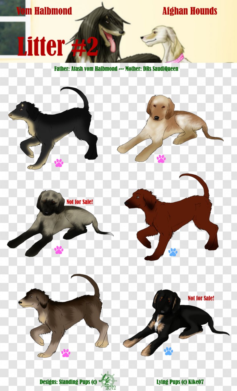 Dog Breed Cat Horse Leash Transparent PNG