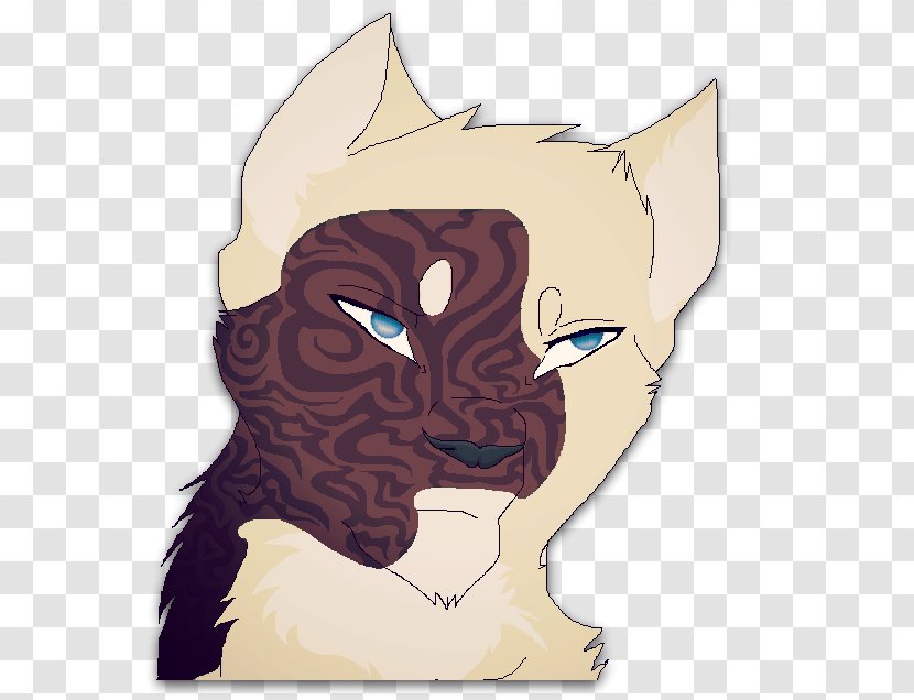 Whiskers Cat Dog Snout Illustration - Face Transparent PNG