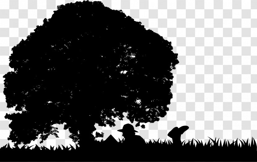Tree Silhouette Clip Art - Black And White - Trees Plan Transparent PNG