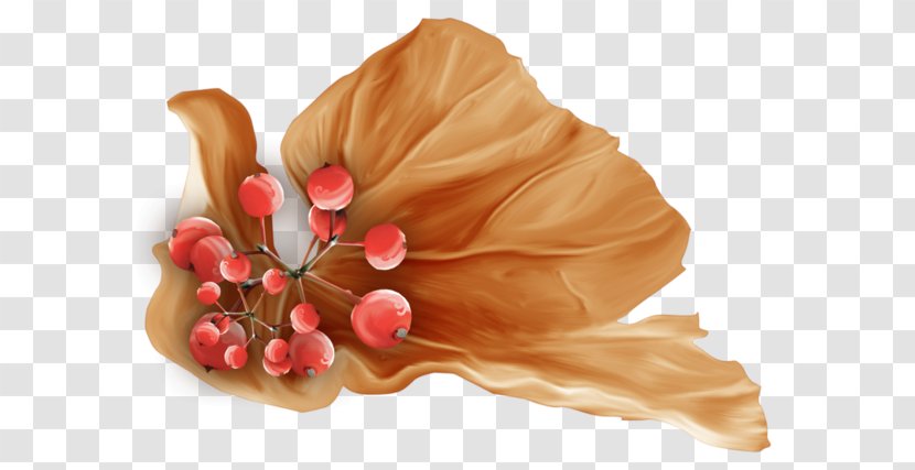 Petal Cut Flowers Peach - Autumn Fruits Transparent PNG