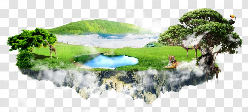 Galaxy Macau Dog Advertising Gratis - World - Dreamy Island Transparent PNG