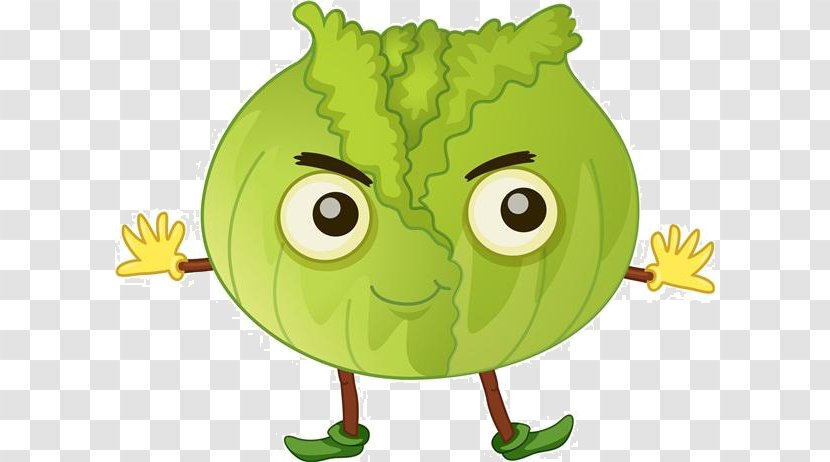 Cabbage Broccoli Royalty-free Cartoon - Plant - Vegetable Material Transparent PNG