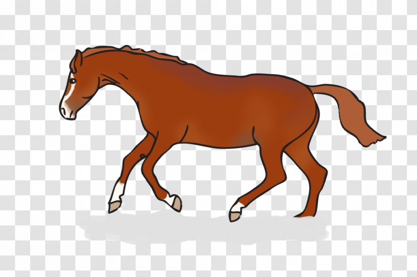 Horse Equestrian Vaulting English Riding Clip Art - Mustang Transparent PNG