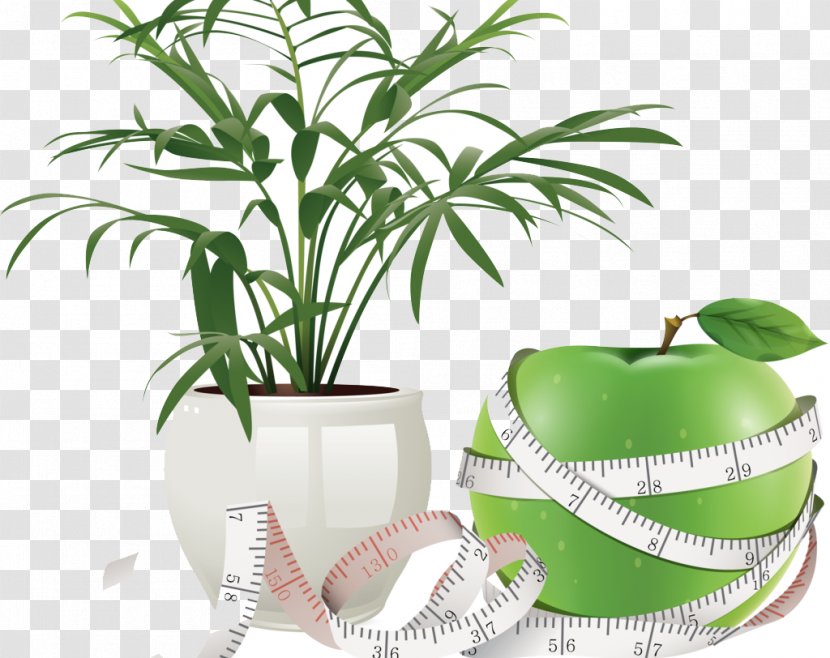 Flowerpot Icon - Houseplant - Green Apple Transparent PNG