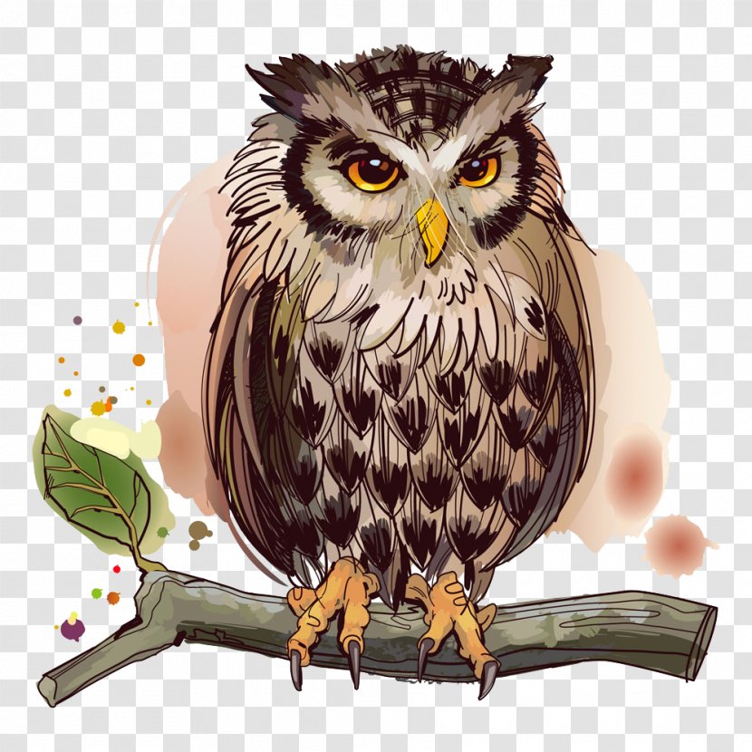Owl Bird Stock Illustration - Great Horned - On A Tree Branch Transparent PNG
