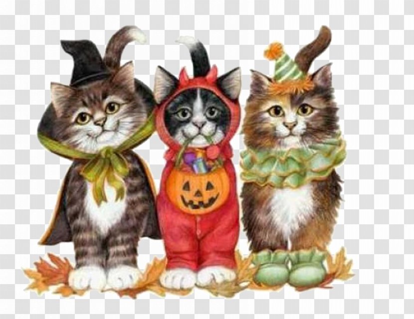 Cat Kitten Trick-or-treating Halloween - Three Kittens Transparent PNG