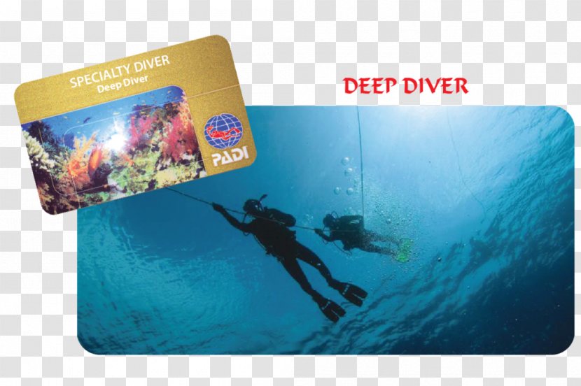 Brand Professional Association Of Diving Instructors - Deep Transparent PNG