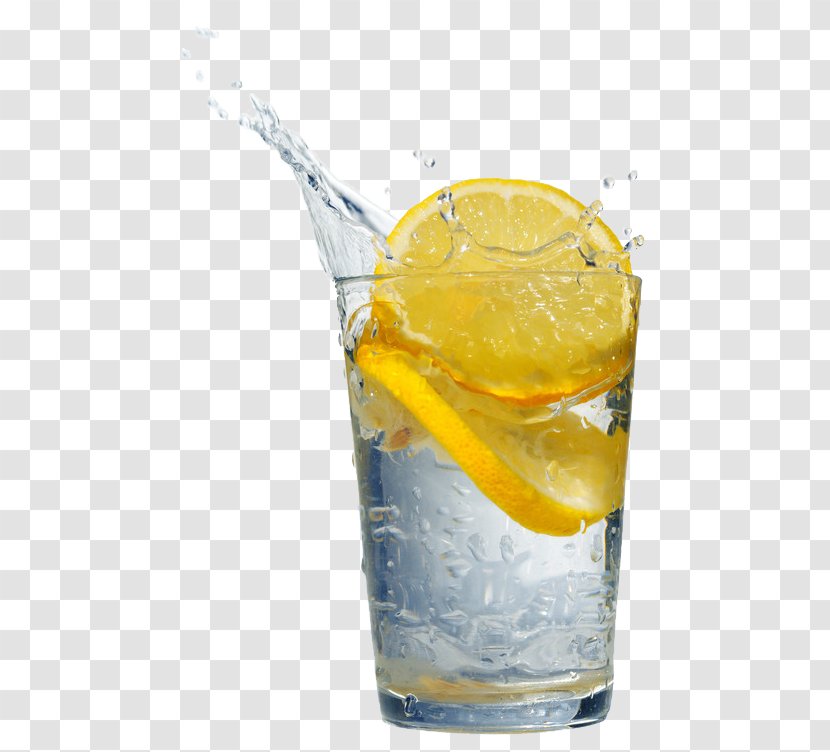 Orange Drink Fizzy Drinks Gin And Tonic Lemon Juice Transparent PNG