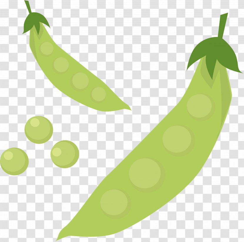 Edible-podded Pea Bean Ervilha Petit Pois Clip Art - Vegetable Transparent PNG