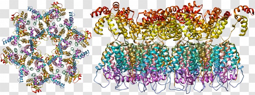 Human Immunodeficiency Virus 1 AIDS HIV T-lymphotropic - Watercolor - Particles Transparent PNG