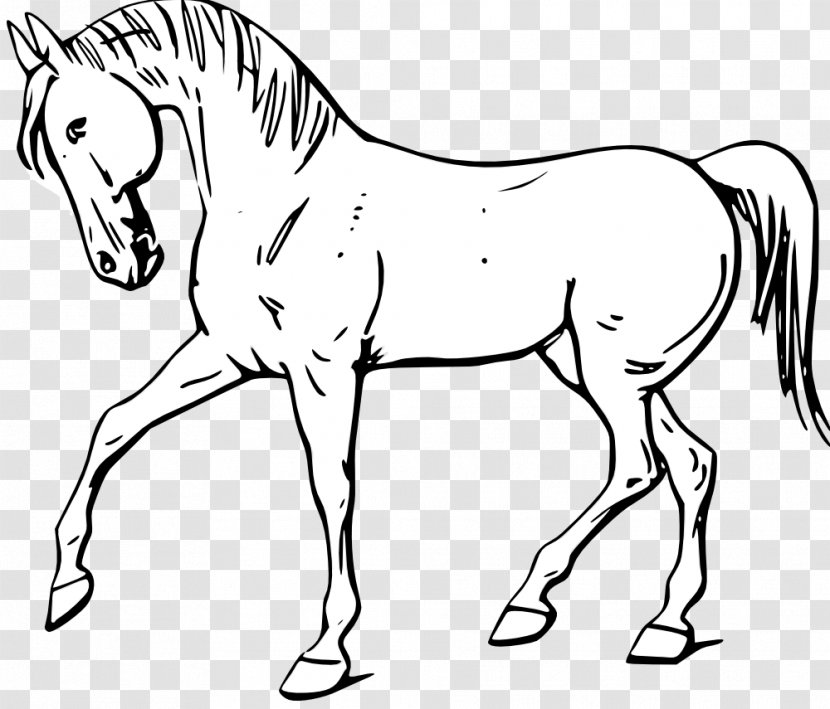 Tennessee Walking Horse Clip Art - Hound - Cliparts Transparent PNG