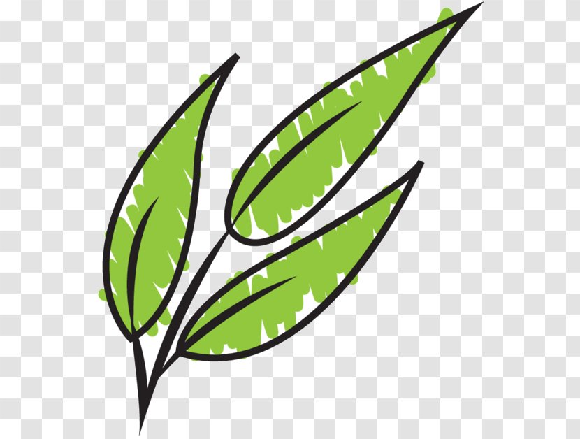 Clip Art Leaf Plant Stem Line Commodity - Green Transparent PNG