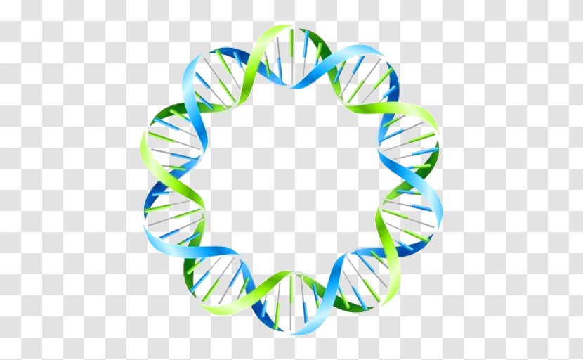 Genealogical DNA Test Vector Graphics Ancestry.com Inc. Circle - Genealogy Transparent PNG