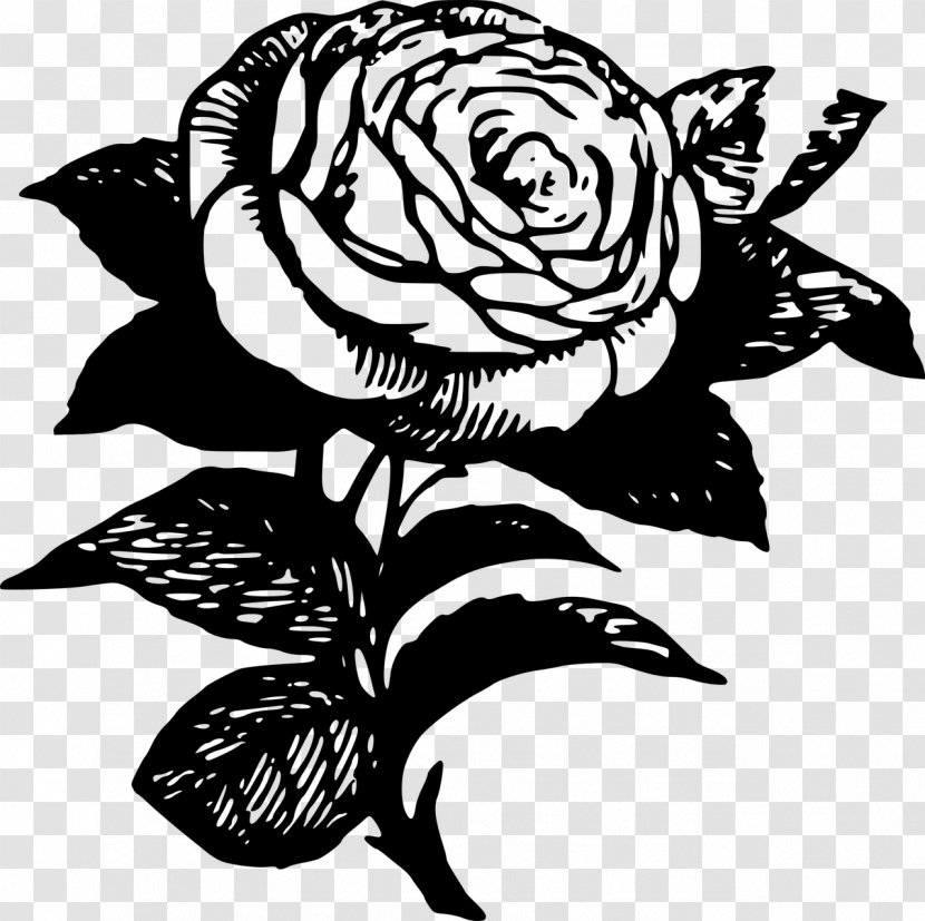 Black Rose Drawing Clip Art - Tree - Tattoo Transparent PNG