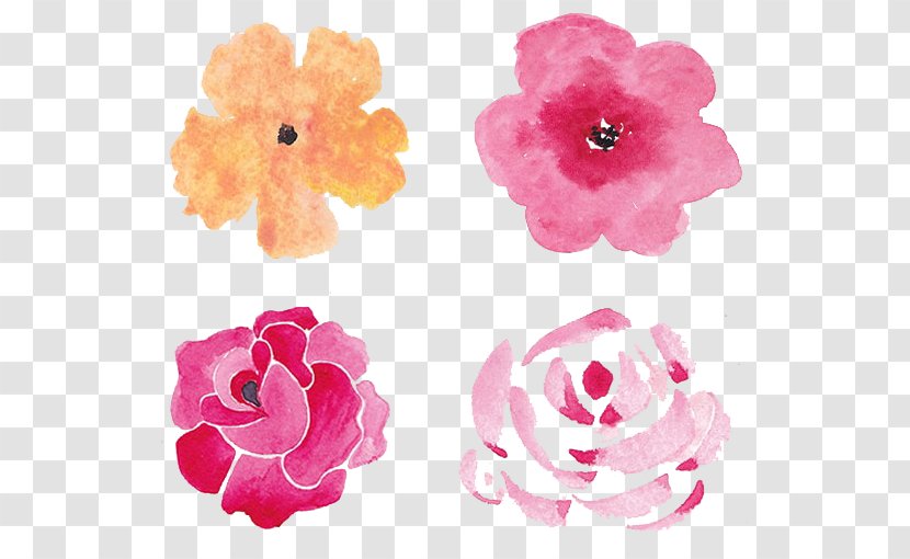 Watercolour Flowers Watercolor Painting Garden Roses - Pink - Flower Transparent PNG