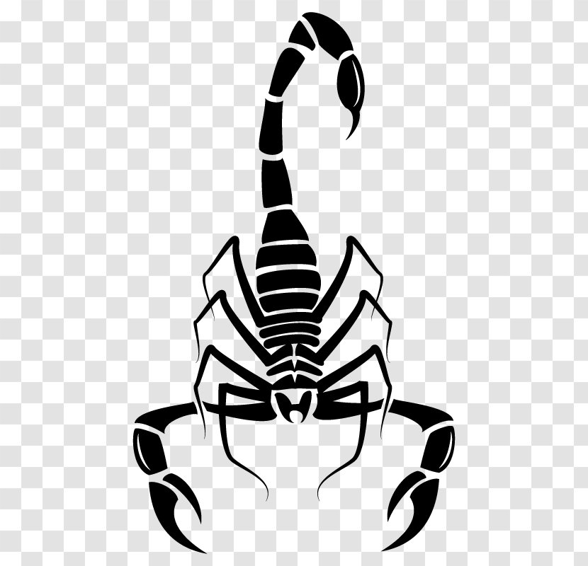 Scorpion Euclidean Vector Download - Hand - Scorpions Transparent PNG