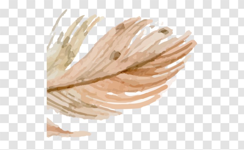 Feather Drawing ATHANASIOS KOROMILAS ENT OFFICE KALAMATA Watercolor Painting - Color - Made For Each Other Transparent PNG