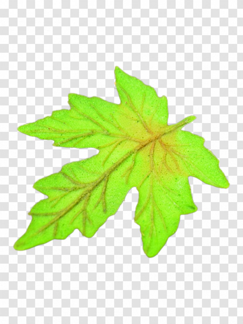 Maple Leaf Clip Art Shape Image - Tree Transparent PNG