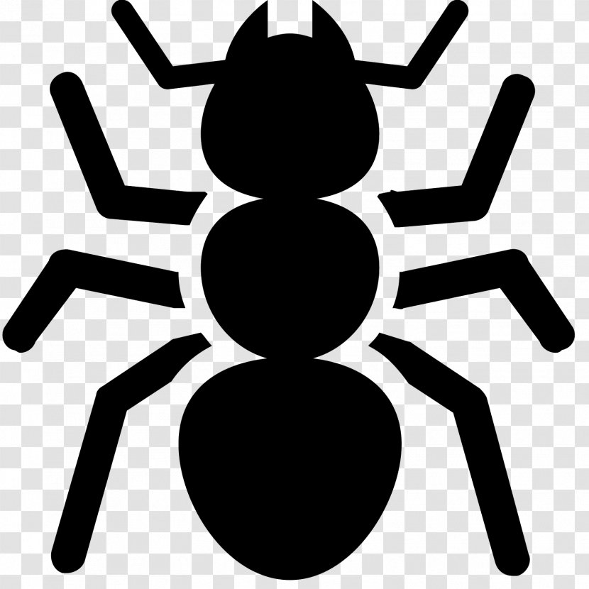 Ant Insect Termite Bed Bug - Ladybird Transparent PNG
