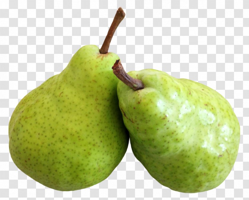 Asian Pear Fruit - Plant Transparent PNG