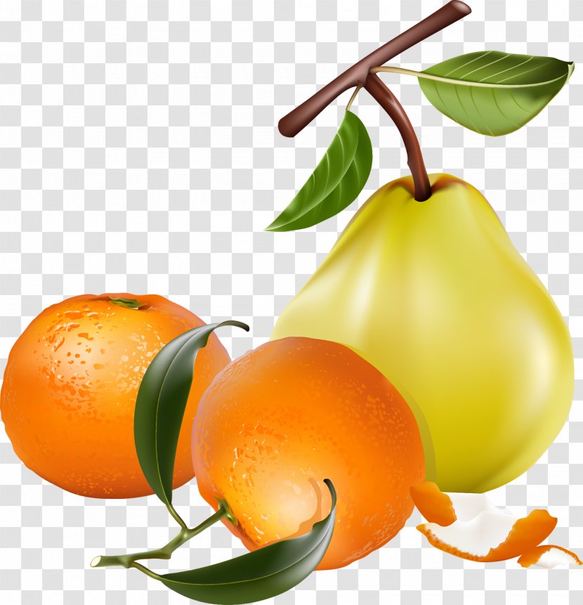 Pear Fruit Desktop Wallpaper Clip Art Transparent PNG