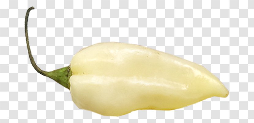 Habanero Chili Con Carne Fatalii Pepper Bell - Bhut Jolokia Transparent PNG
