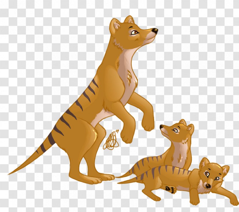 Tasmanian Devil Tiger Red Fox Puppy Thylacine - Wolf Totem Transparent PNG