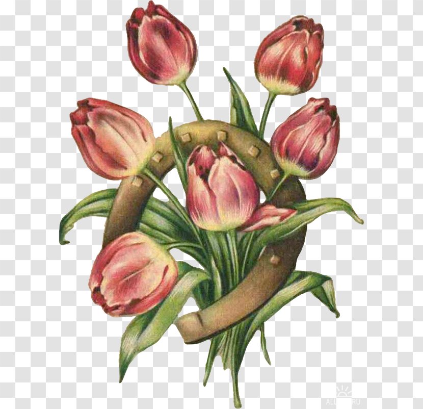 Floral Design Tulip Cut Flowers Rose - Flowering Plant Transparent PNG