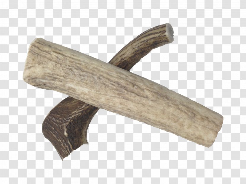 Wood Antler Transparent PNG