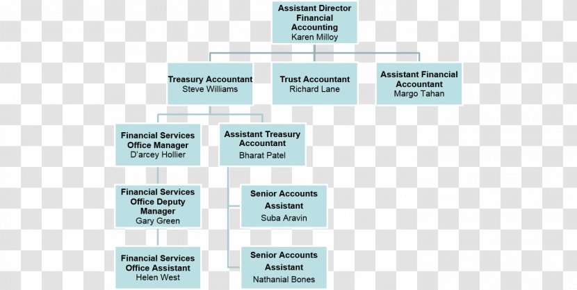 Organizational Chart Management Company - Financial Accounting - Grandness Letter Of Appointment Certificate Transparent PNG