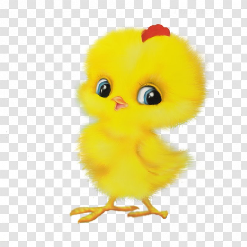 Chicken Child First Hen Rooster Game - Easter - Chick Transparent PNG