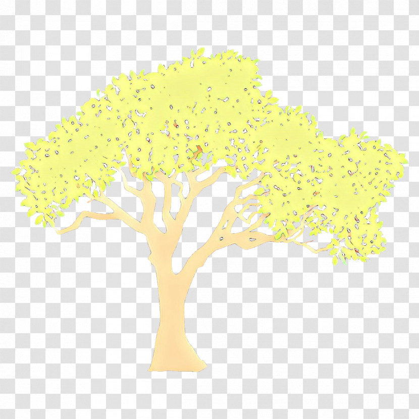 Yellow Tree Woody Plant Plant Branch Transparent PNG