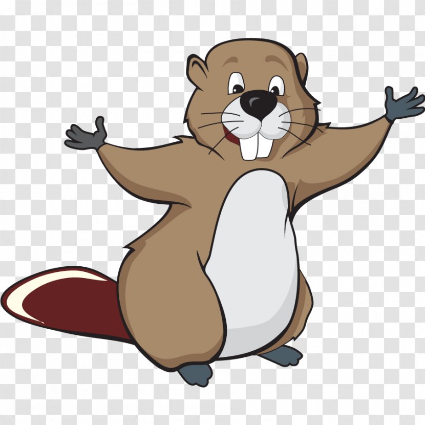 Beaver Drawing Clip Art - Tail Transparent PNG