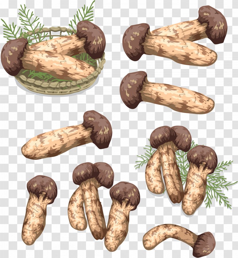 Matsutake Fungus Mushroom Shiitake Tuber - Vegetable Transparent PNG