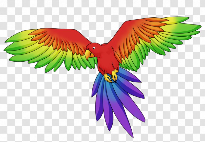 Budgerigar Parrot Macaw Rainbow Lorikeet Parakeet - Lories And Lorikeets Transparent PNG