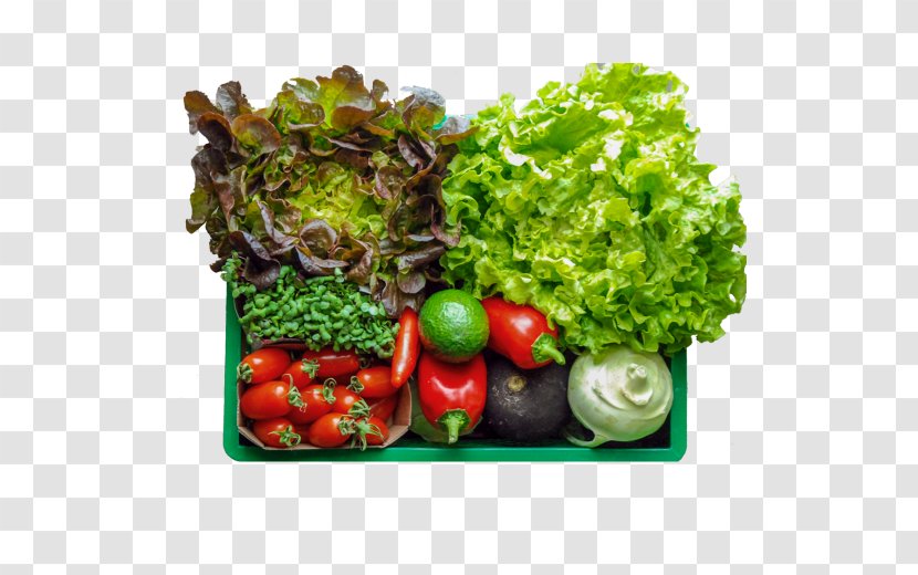 Leaf Vegetable Food Vegetarian Cuisine Zucchini - 1439 Transparent PNG