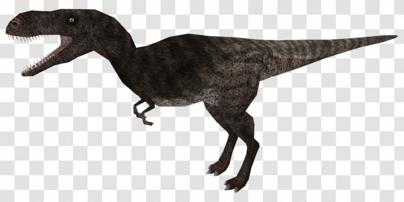 Velociraptor Tyrannosaurus Extinction Animal - Figure - Skin Model Transparent PNG