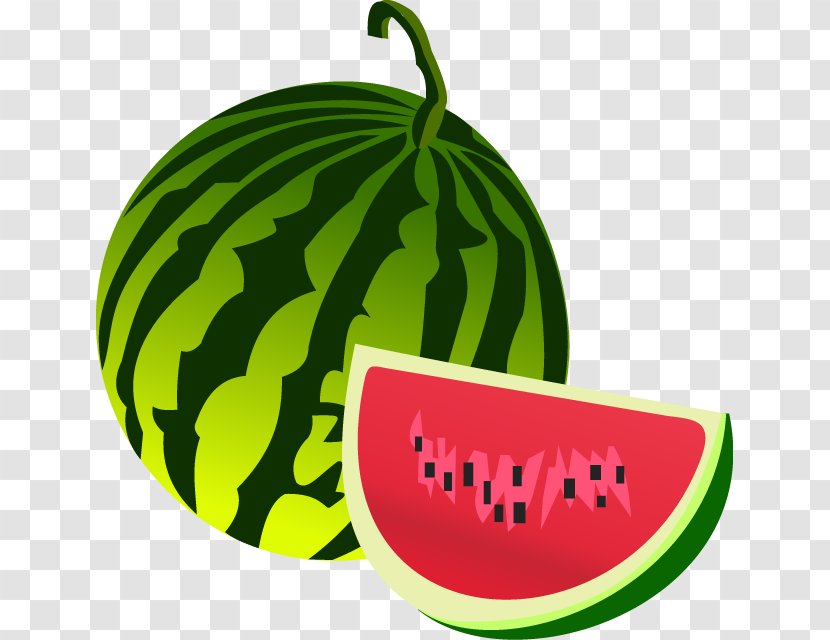 Fruit Clip Art - Vegetable - Water Melon Transparent PNG