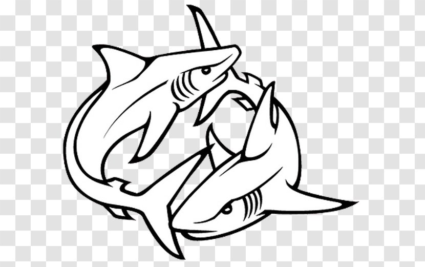 Shark Tattoo Artist Drawing - Carnivoran Transparent PNG