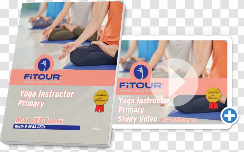 Physical Fitness Personal Trainer Exercise Professional Yoga - Education Transparent PNG