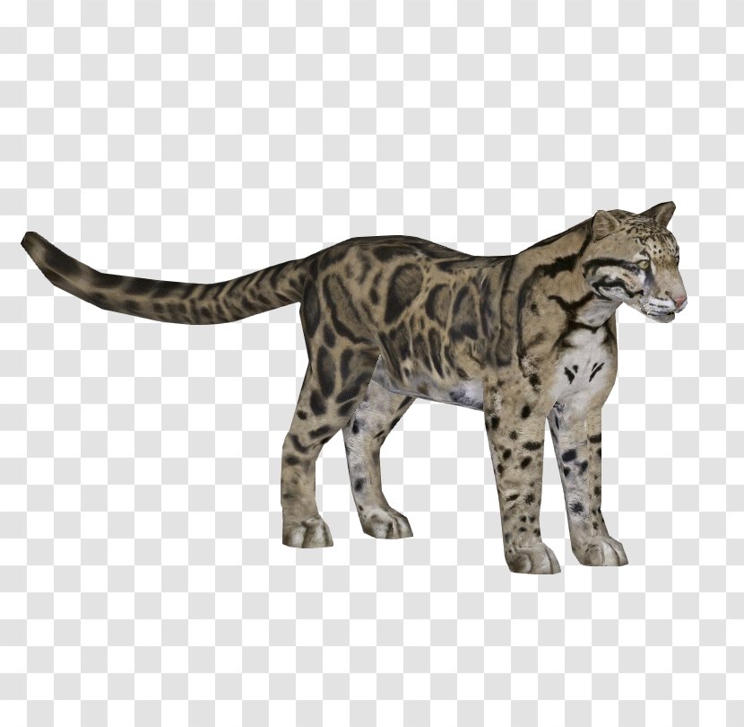 Zoo Tycoon 2 Felidae Amur Leopard Tiger Ocelot - Sabertoothed Cat Transparent PNG
